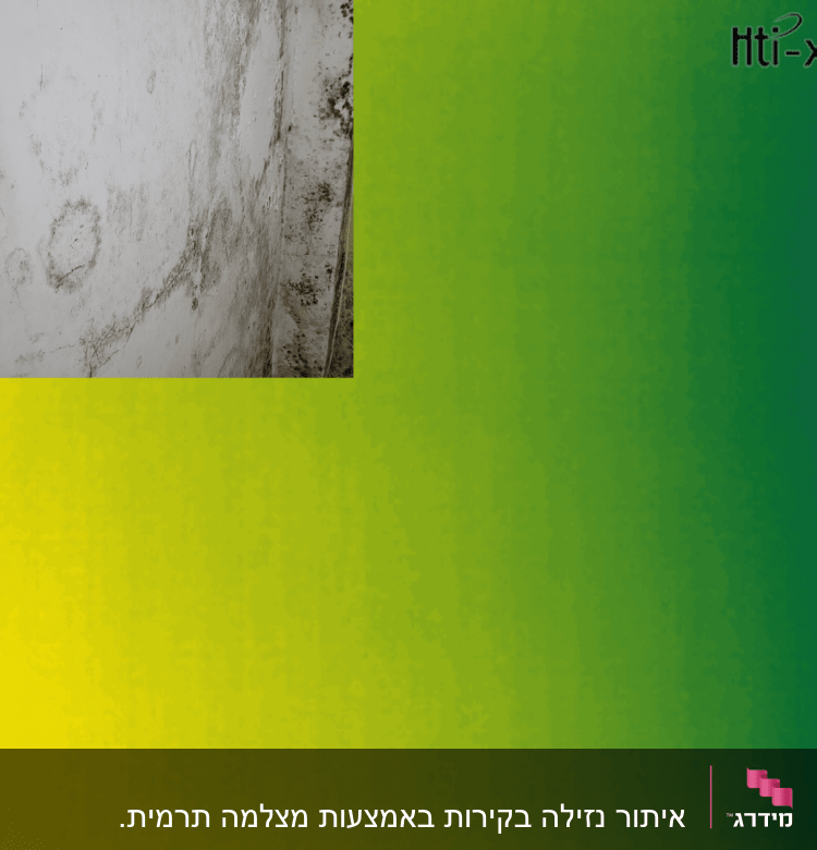 קיר עם עובש ושקע חשמלי